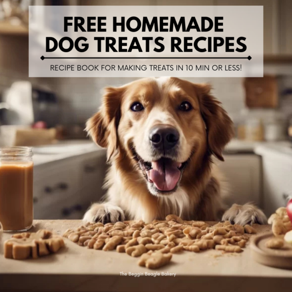 dog treat recipe book